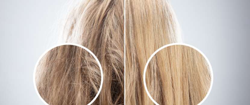 cabello con daño vs repocición de aminiacidos