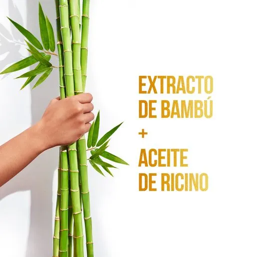Pantene Samphoo Bambú + Pantene Acondicionador Bambu - Image 4