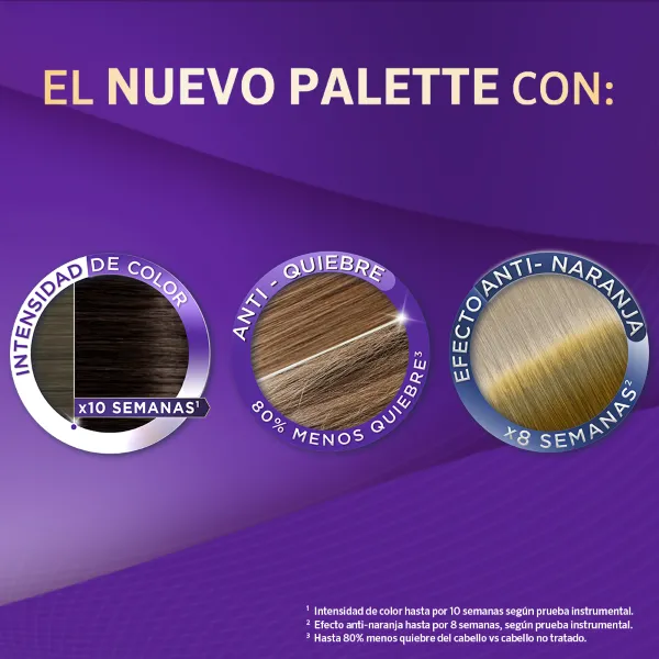 Tinte Palette Intensive Color Creme - Image 18